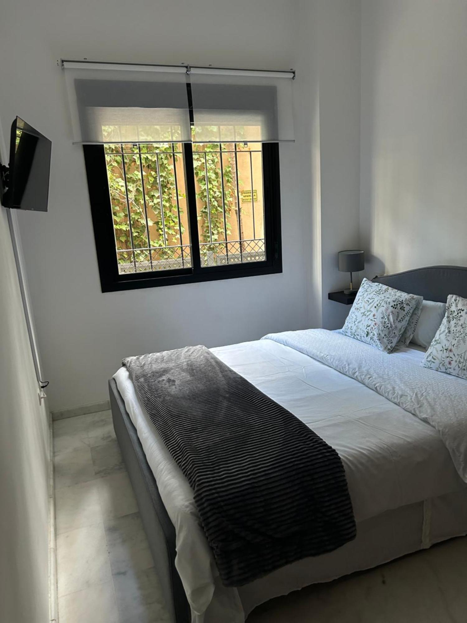 Apartamento Proximo Al Centro De 2 Dormitorios Con Piscina. Σεβίλλη Εξωτερικό φωτογραφία